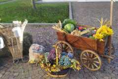 Giornata-Ringraziamento-07